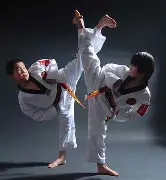 跆拳道夜战：漓江灰熊队翻盘塞外貔貅队，临门一脚致胜新人首发惊艳